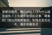 谁都没想到，糖心vlog入口为什么越说越有人上头被反复提起这事：藏着的门道比传闻更复杂，别怪大家反应大，确实有触发点