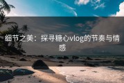 细节之美：探寻糖心vlog的节奏与情感