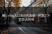 糖心vlog入口背后的真相：明面之外的巨大作用