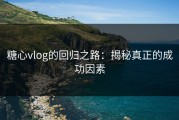 糖心vlog的回归之路：揭秘真正的成功因素