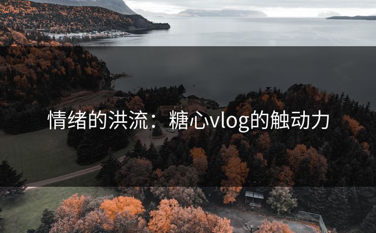 情绪的洪流：糖心vlog的触动力
