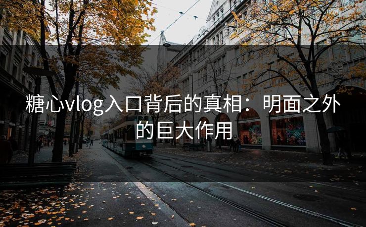 糖心vlog入口背后的真相：明面之外的巨大作用
