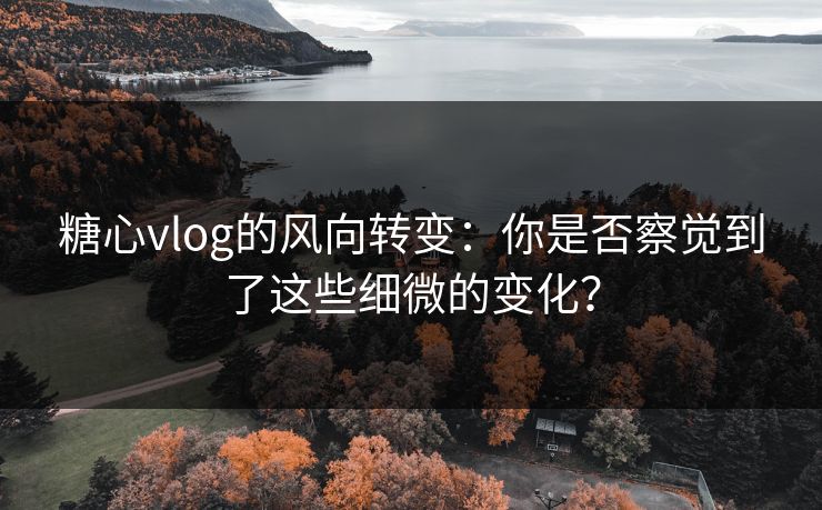 糖心vlog的风向转变:你是否察觉到了这些细微的变化? 糖心vlog的风向转变:你是否察觉到了这些细微的变化?