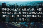 关于糖心vlog入口的这波动静，外面传得很热，真正值得看的却是没人细说的那几处，这一次真的很难装作没看见