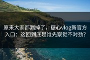 原来大家都漏掉了，糖心vlog新官方入口：这回到底是谁先察觉不对劲？