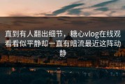 直到有人翻出细节，糖心vlog在线观看看似平静却一直有暗流最近这阵动静