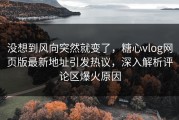 没想到风向突然就变了，糖心vlog网页版最新地址引发热议，深入解析评论区爆火原因