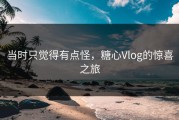 当时只觉得有点怪，糖心Vlog的惊喜之旅