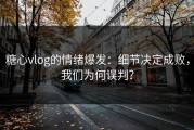 糖心vlog的情绪爆发：细节决定成败，我们为何误判？