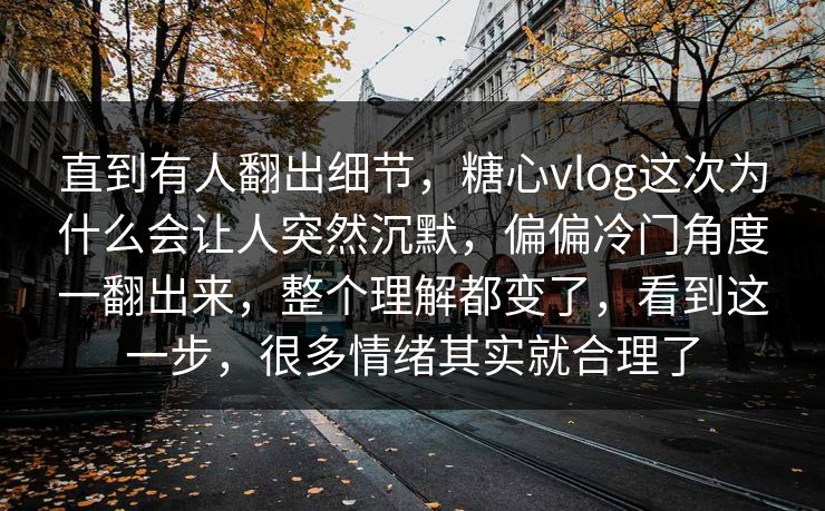直到有人翻出细节，糖心vlog这次为什么会让人突然沉默，偏偏冷门角度一翻出来，整个理解都变了，看到这一步，很多情绪其实就合理了