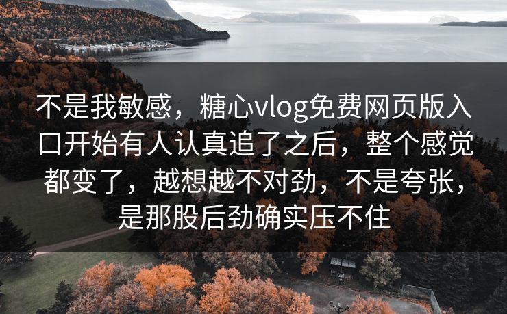 不是我敏感，糖心vlog免费网页版入口开始有人认真追了之后，整个感觉都变了，越想越不对劲，不是夸张，是那股后劲确实压不住