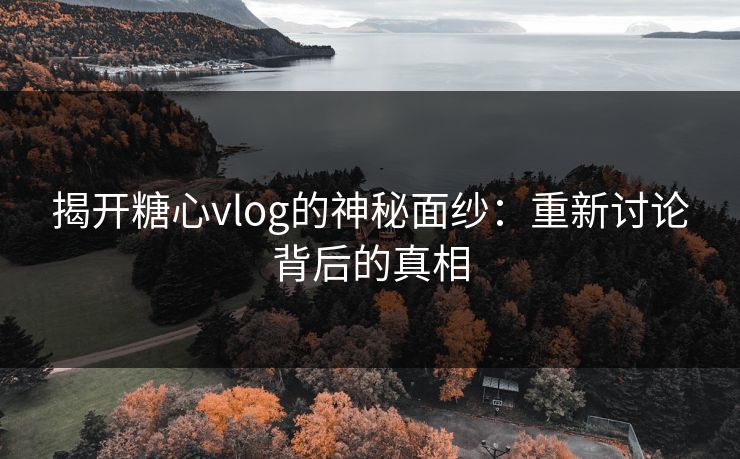 揭开糖心vlog的神秘面纱：重新讨论背后的真相