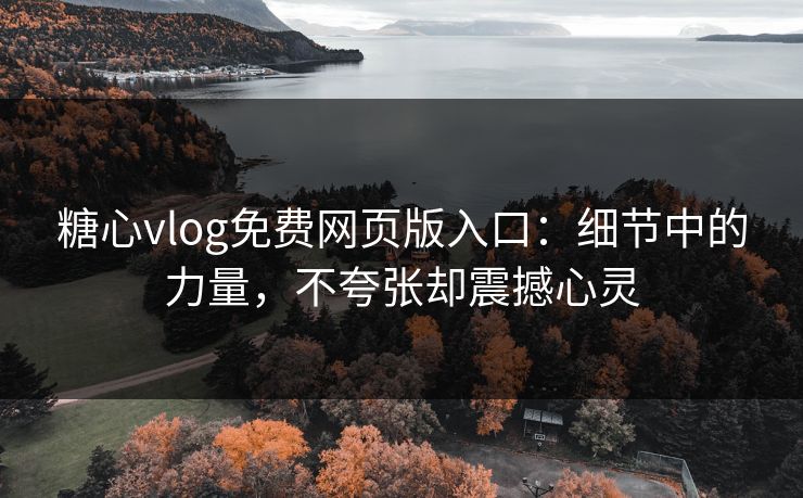 糖心vlog免费网页版入口：细节中的力量，不夸张却震撼心灵
