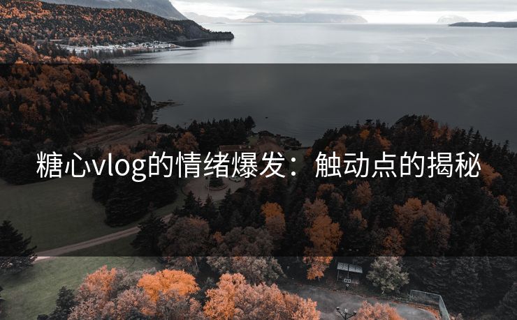 糖心vlog的情绪爆发:触动点的揭秘 糖心vlog的情绪爆发:触动点的揭秘