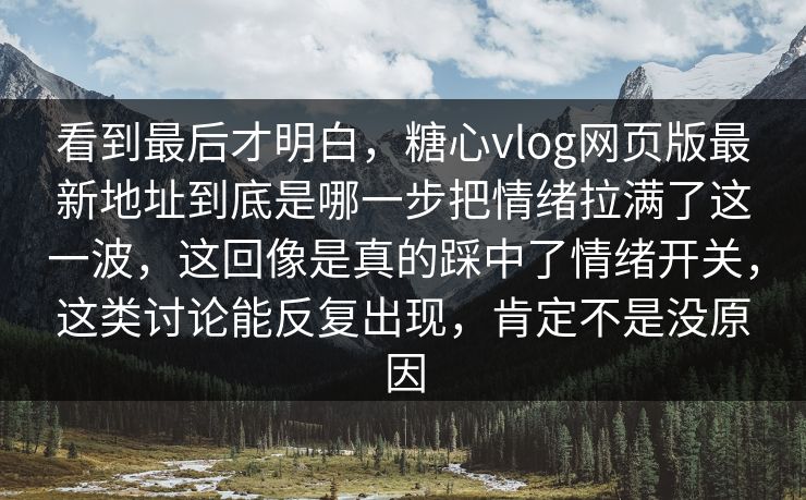 看到最后才明白，糖心vlog网页版最新地址到底是哪一步把情绪拉满了这一波，这回像是真的踩中了情绪开关，这类讨论能反复出现，肯定不是没原因