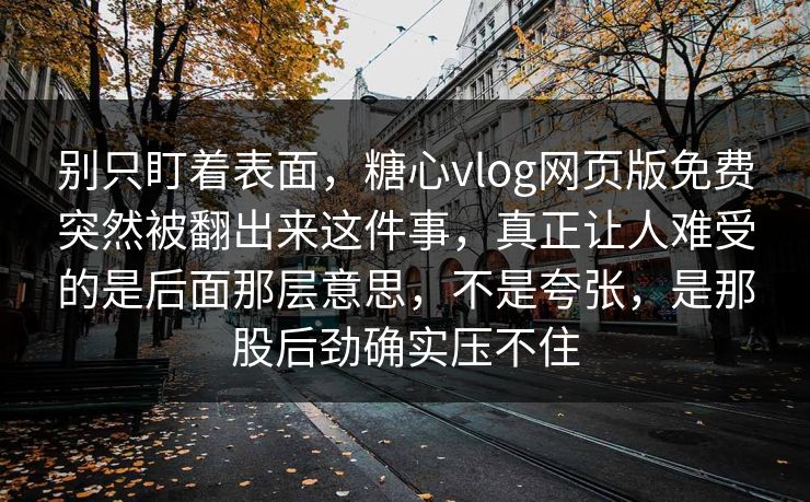 别只盯着表面，糖心vlog网页版免费突然被翻出来这件事，真正让人难受的是后面那层意思，不是夸张，是那股后劲确实压不住